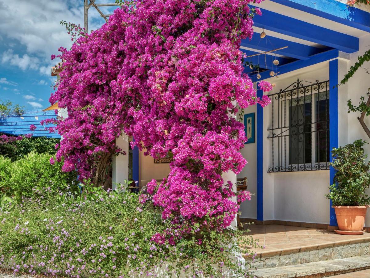 Benson By Interhome Willa Marbella